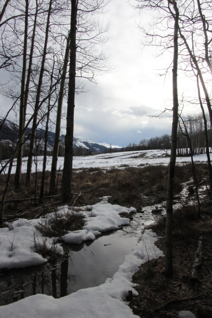 spring on the mountain