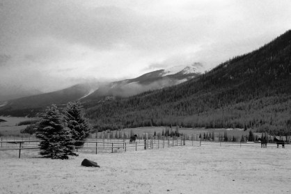 This is the view from safe little world.