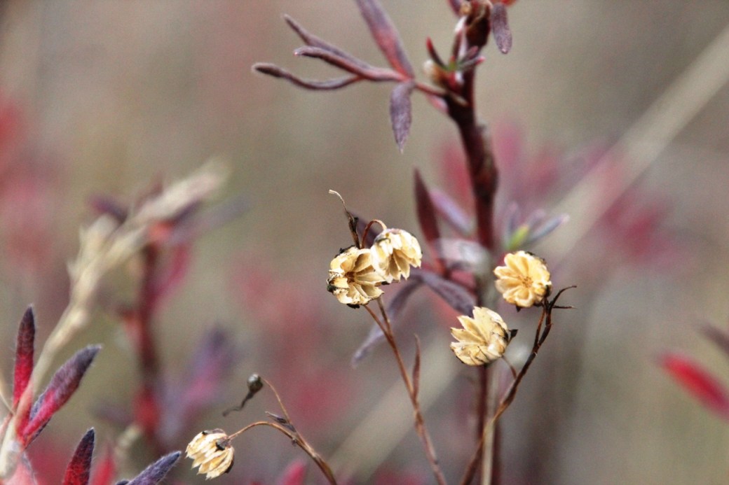 A Quick Fix:  Four Essential (and Easy) Steps to a Better&nbsp;Life.