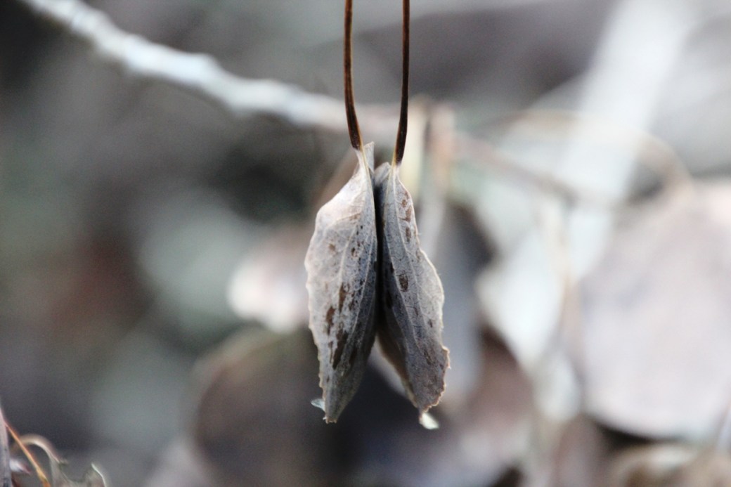 My body, my mind, my&nbsp;soul.