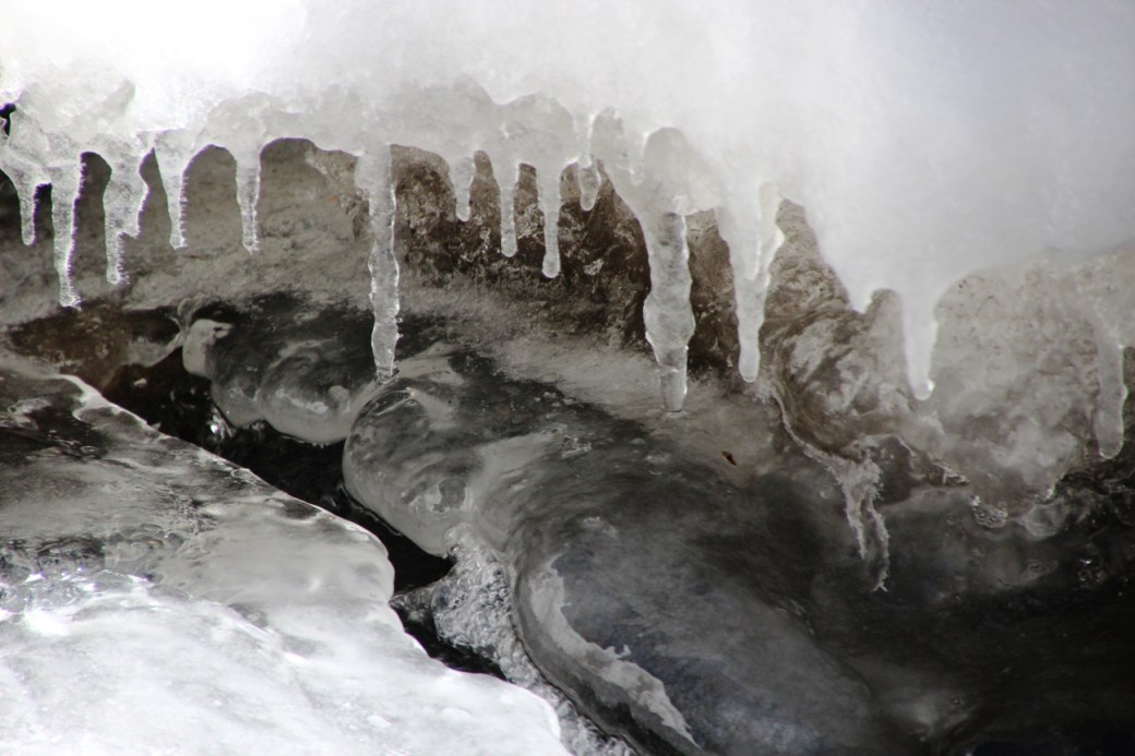 On Thanks and&nbsp;Giving.