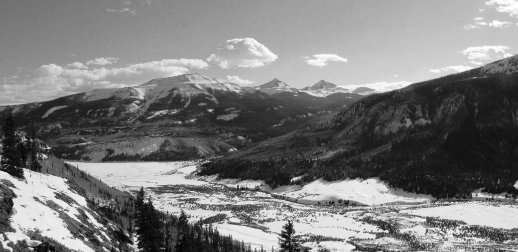 Two different sides of&nbsp;wild.