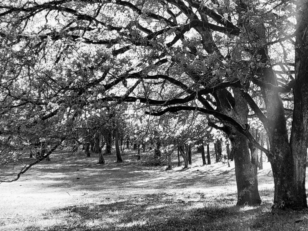 A Long Quiet&nbsp;Ride