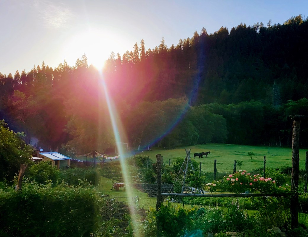 A new chapter&nbsp;begins.