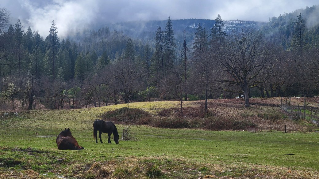 A cooler kind of&nbsp;fire.