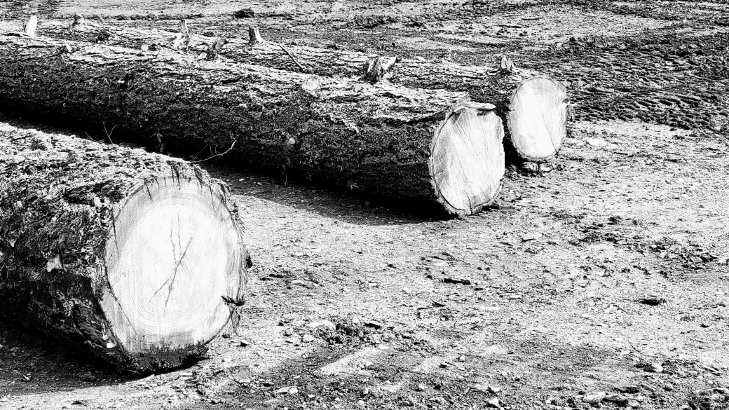 On plans and&nbsp;places.