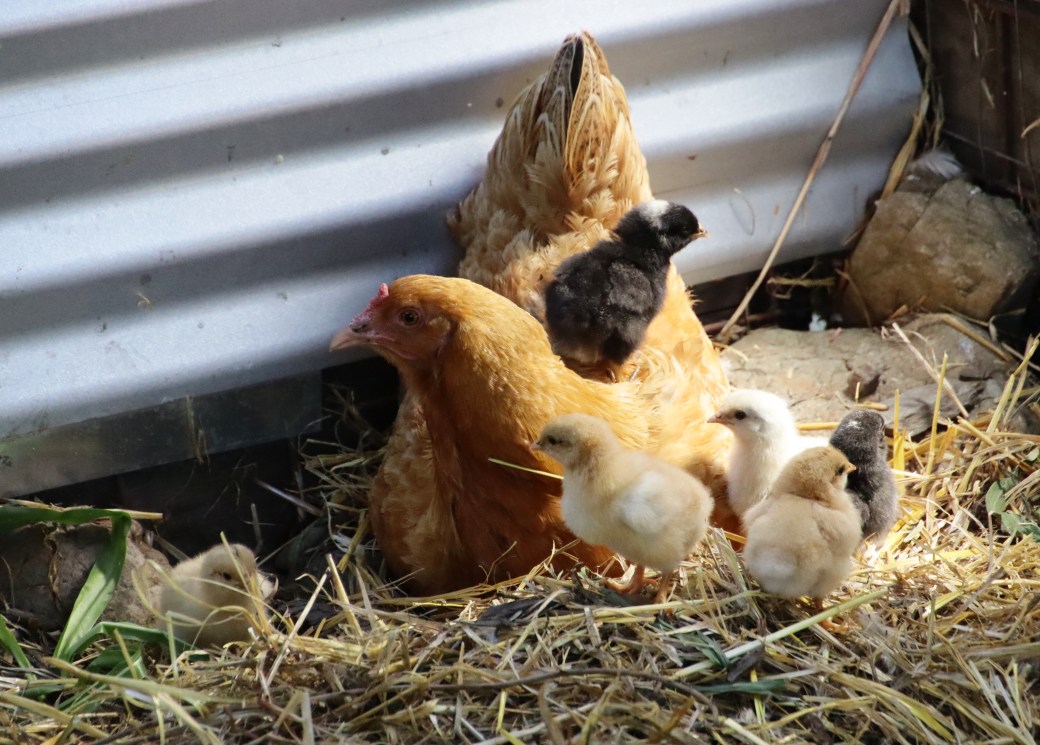 Held by here and&nbsp;now.