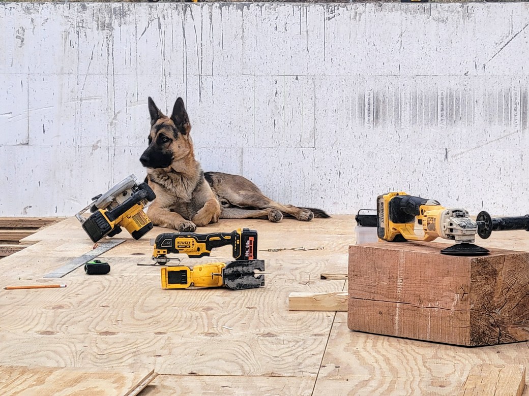 How we live&nbsp;now.