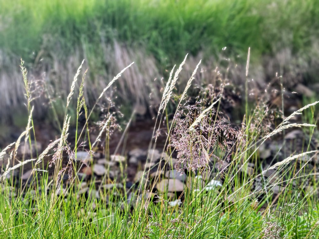 Getting to know the&nbsp;neighbors.