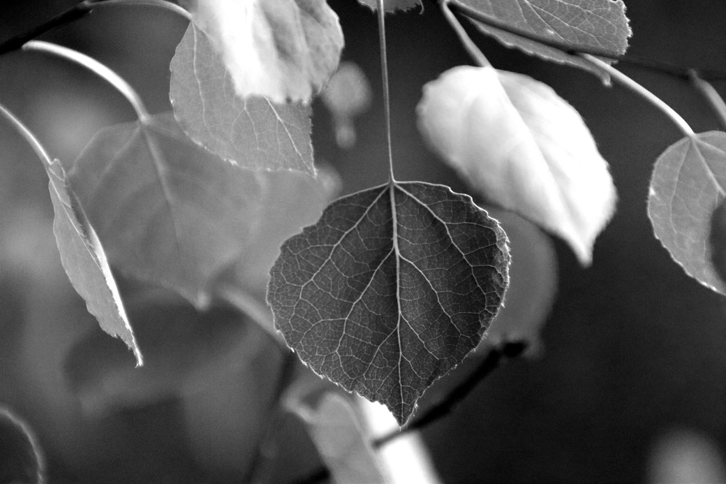 Down and out, way up&nbsp;high.