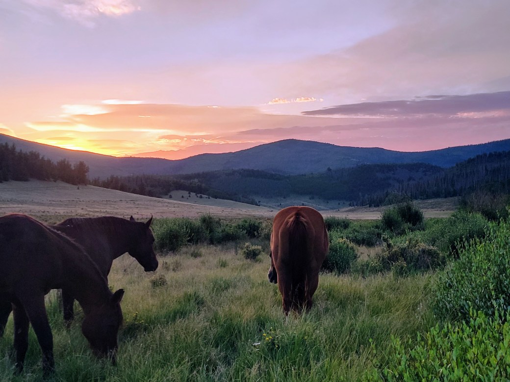 Up close and&nbsp;personal…