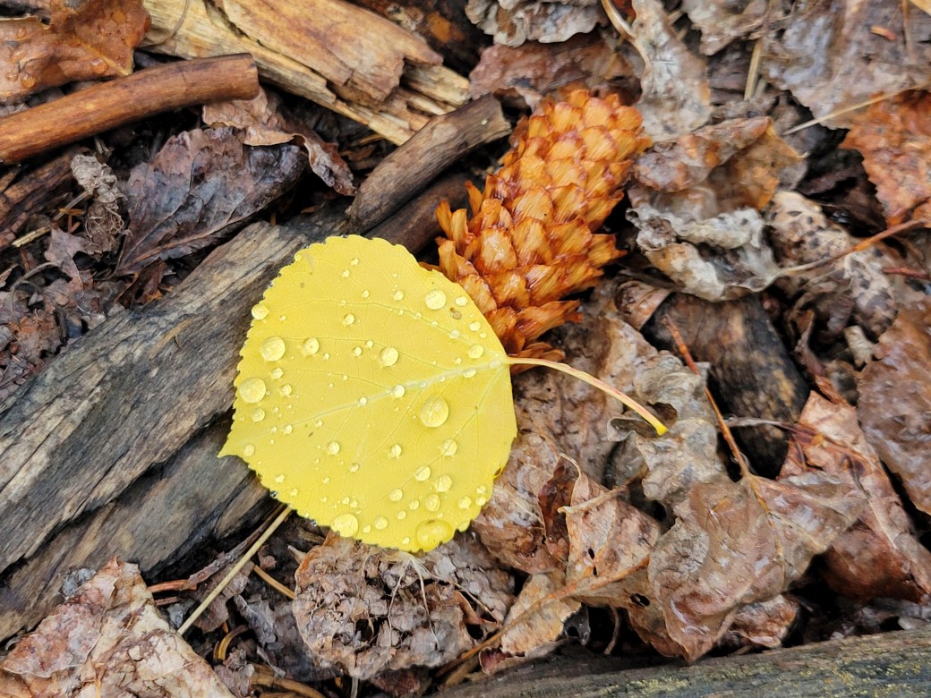 As for the rest of the&nbsp;story…