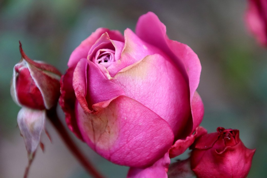 Waiting for the moon to&nbsp;rise.