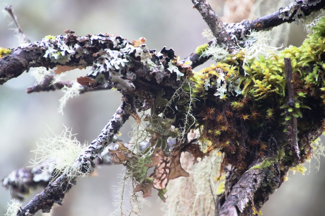 On rain and&nbsp;writing.