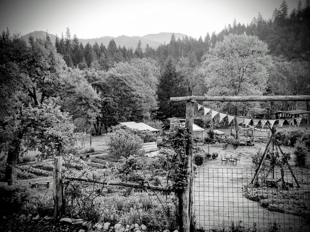 Ode to the&nbsp;soil.