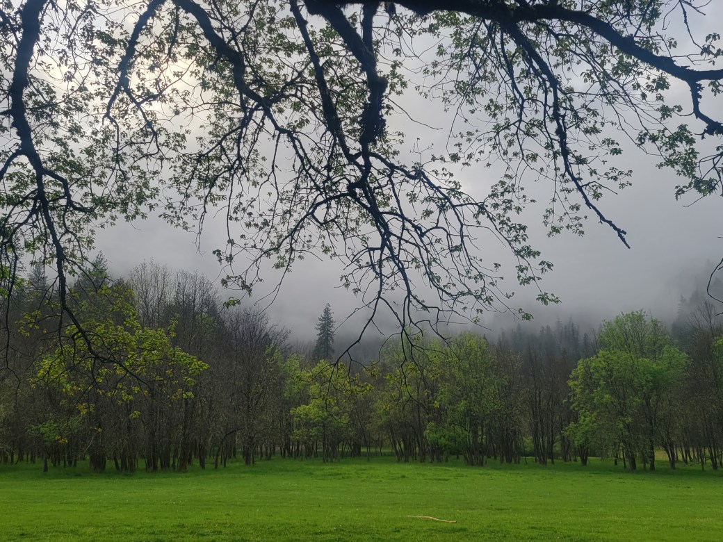 Simply silver and&nbsp;gold.