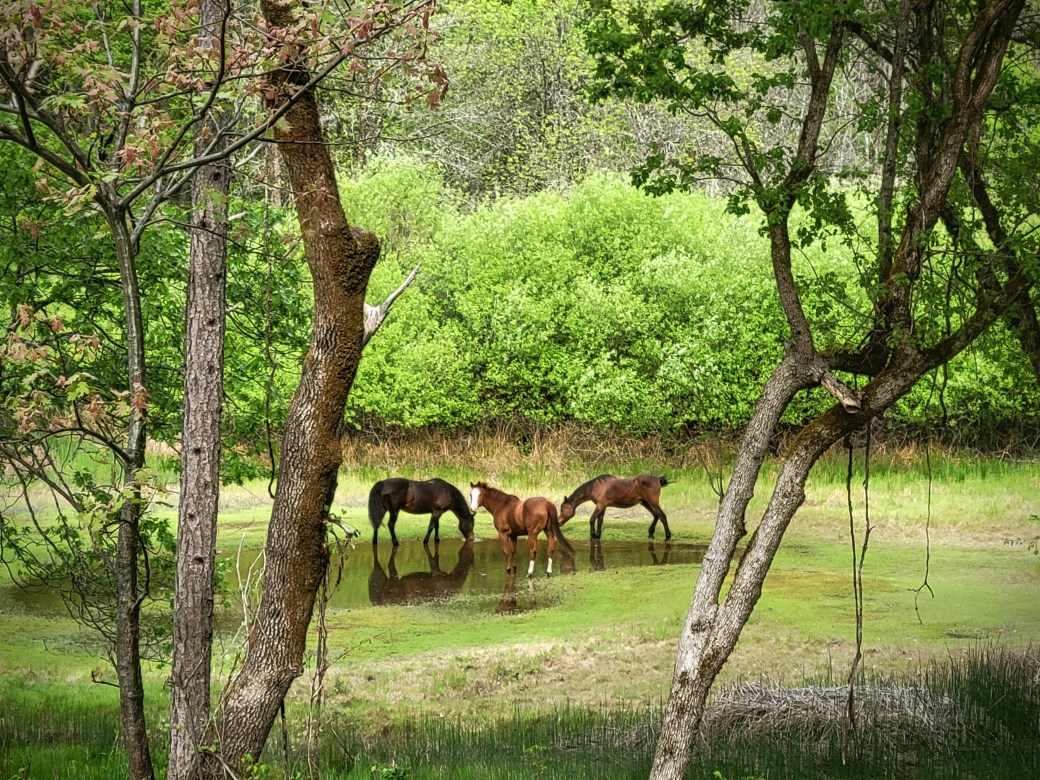 The view from outside the&nbsp;circle.
