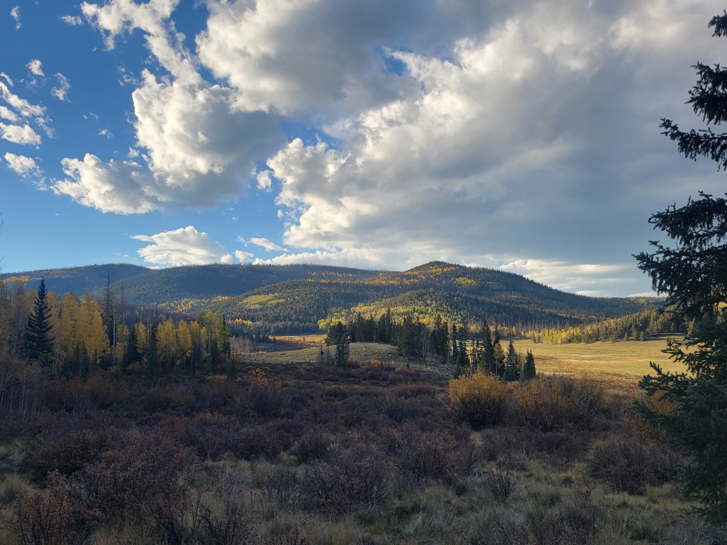 Wide Open: An Ode to the Wild&nbsp;West.